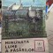 Minunata lume a pasarilor - I. Bordeianu