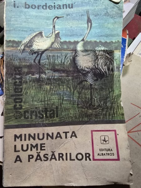 Minunata lume a pasarilor - I. Bordeianu