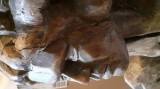 Statuie lemn de nuc masiva, aprox 18 KG, 90 CM
