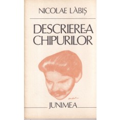 Nicolae Labis - Descrierea chipurilor