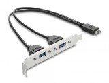 Bracket USB Type E Key A la 2 x USB-A 5 Gbps 0.3m, Delock 67345