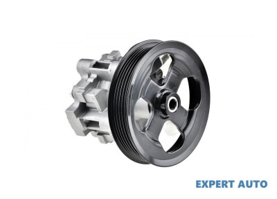 Pompa servo Jeep Compass (2006-&amp;gt;)[MK49] foto