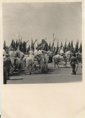 D329 Tarani calare 1 mai 1952 Bucuresti foto