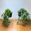 Decor plante artificiale - &icirc;n ghiveci - 16 x 26 cm Best CarHome, Oem
