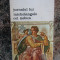 Jurnalul lui Michelangelo cel nebun- Rolando Cristofanelli