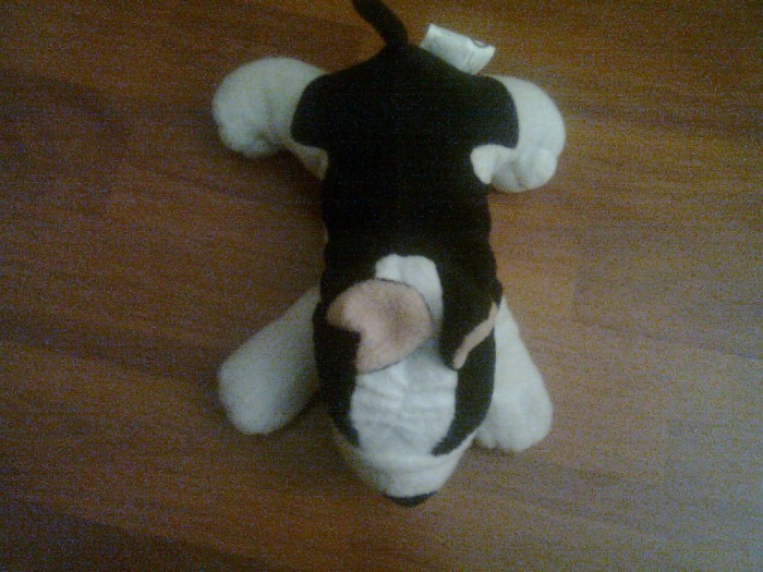 catel de plus