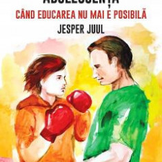 Adolescenta. Cand educarea nu mai e posibila - Jesper Juul