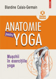 Anatomie pentru yoga - Paperback brosat - Blandine Calais-Germain - Polirom