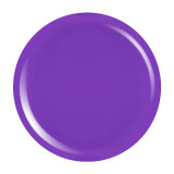 Cumpara ieftin Gel Colorat UV PigmentPro LUXORISE - Radiant Grape, 5ml