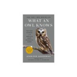 What an Owl Knows: The New Science of the World's Most Enigmatic Birds
