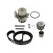 Set pompa apa + curea dintata SEAT ALTEA XL 5P5 5P8 DAYCO KTBWP2964