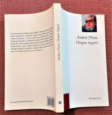 Despre ingeri. Editura Humanitas, 2005 - Andrei Plesu foto