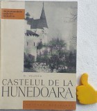 Castelul de la Hunedoara Oliver Velescu