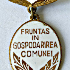 INSIGNA FRUNTAS IN GOSPODARIREA COMUNEI 1971