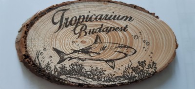 XG Magnet frigider - tematica turistica - Ungaria - Budapesta- Tropicaruium lemn foto