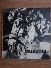 valbudea foto