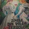 ZANELE DIN VALEA CERBULUI