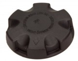 Buson vas expansiune compatibil BMW X5 E70 3.0 si 2007-2008