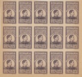 Romania, LP V.7c/1947, Fundatia Carol-supr. negru, h. gri, nedant., bloc 15, MNH