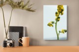 Tablou Canvas, "Albina și floarea galbenă &icirc;naltă", Plantă, Flori, Galben, Albine, Natură, Tulpină, Cer, Verde, Viață, Delicat., 26 x 39 cm, CMCLASS