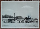Fotografie, tarani la adunat fanul, in Romania, perioada interbelica