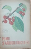 POMII SI ARBUSTII FRUCTIFERI - FL. LUPESCU, I. MILITIU
