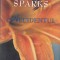 Nicholas Sparks - Accidentul