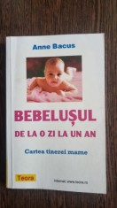 Anne Bacus - Bebelusul de la o zi la un an foto