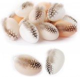 Set de 24 oua cu pene pentru Paste Fyojaic, plastic, alb/maro, 4 x 6 cm