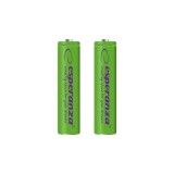 Baterii reincarcabile Ni-MH AAA 1000MAH 2PCS., Esperanza EZA101G