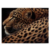 Tablou leopard odihnindu-se Tablou canvas pe panza CU RAMA 20x30 cm