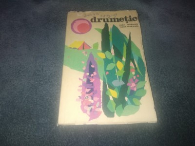 LUCIA TANASESCU - DRUMETIE foto