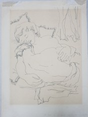 Ligia Macovei (1916-1988) - Ilustratie semnata foto