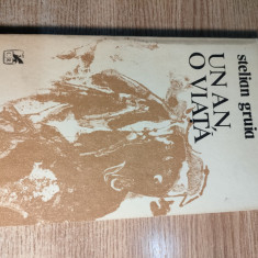 Stelian Gruia - Un an, o viata (Editura Cartea Romaneasca, 1986)