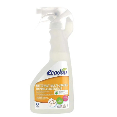 Detergent hipoalergenic multifunctional spray, Ecodoo, 500ml foto