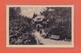AMS @ - VEDERE/ILUSTRATA VATRA DORNEI, VEDERE DIN PARC, 1939, necirculata, Circulata, Printata