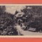 AMS @ - VEDERE/ILUSTRATA VATRA DORNEI, VEDERE DIN PARC, 1939, necirculata