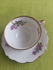 Portelan Edelstein Bavaria Maria Theresia, deosebita ceasca de cafea