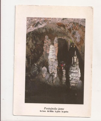FA12 - Carte Postala- SLOVENIA - Postojnska Jama, necirculata foto