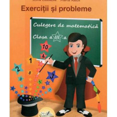 Exerciții și probleme. Culegere de matematică pentru clasa a III-a - Paperback - Adina Grigore, Ileana Tănase, Maria Raicu, Silvia Costache - Ars Libr