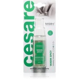 Mr &amp; Mrs Fragrance Cesare Warm Spicy odorizant de camera pentru mașină 50 ml