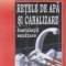 Retele de apa si canalizare. Instalatii sanitare