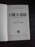 O LUME DE CASTIGAT - UPTON SINCLAIR