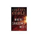 Where Shadows Meet: A Romantic Suspense Novel