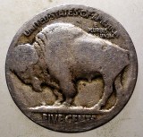 7.530 USA SUA BUFFALO NICKEL 5 CENTS, America de Nord, Cupru-Nichel