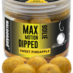 Haldorado - Boilies-uri Max Motion Boilie Dipped 20mm, 80g - Ananas dulce