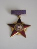 QW9 L 43 - Insigna - tematica comunism - Fruntas in intrecerea socialista - 1966, Romania de la 1950