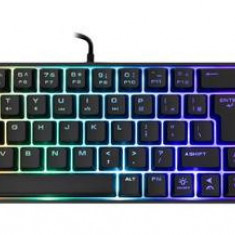 Tastatura Gaming Mecanica White Shark GK-001114 Gladius. iluminare RGB, Layout International, USB 2.0 (Negru)