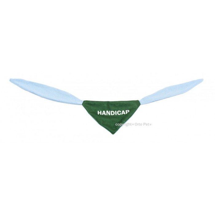 Handicap Scarf- Eșarfă Verde