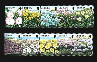 jersey mnh foto
